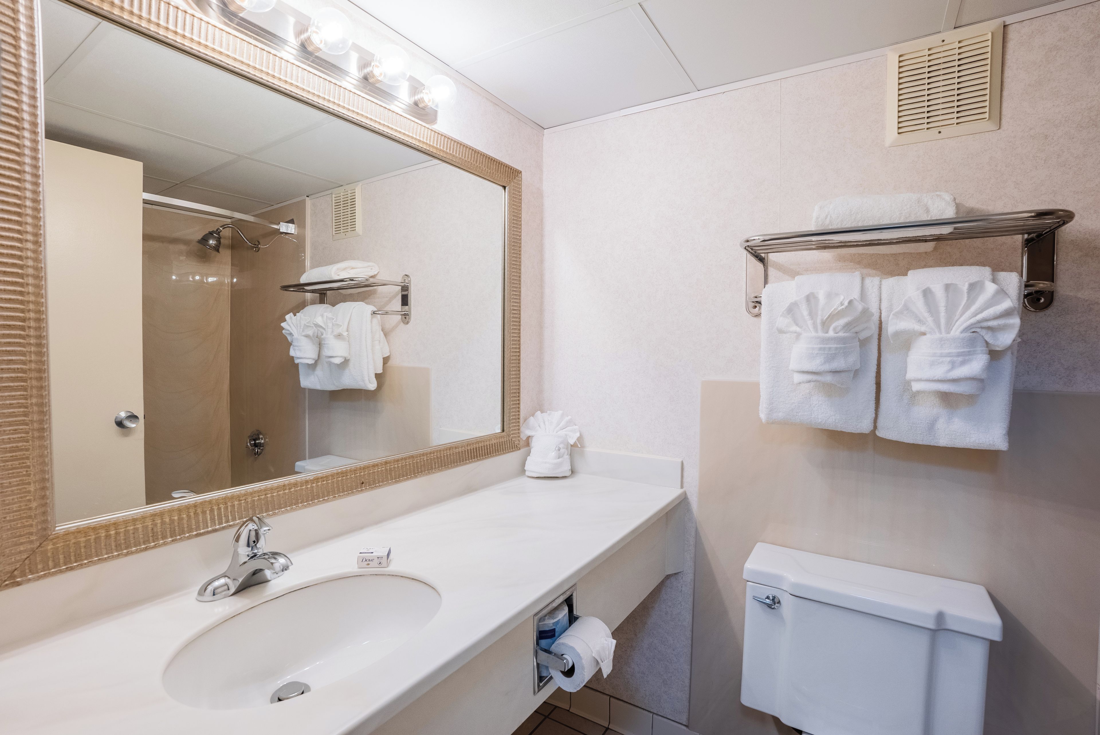 Un baño con un espejo grande, un lavabo, un inodoro y un perchero para toallas.