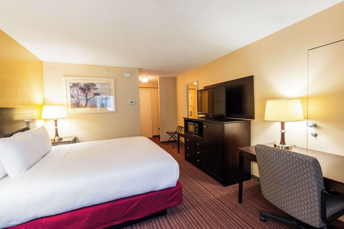 Quarto de hotel com cama, escrivaninha, cadeira, cômoda, televisão e um quadro na parede.