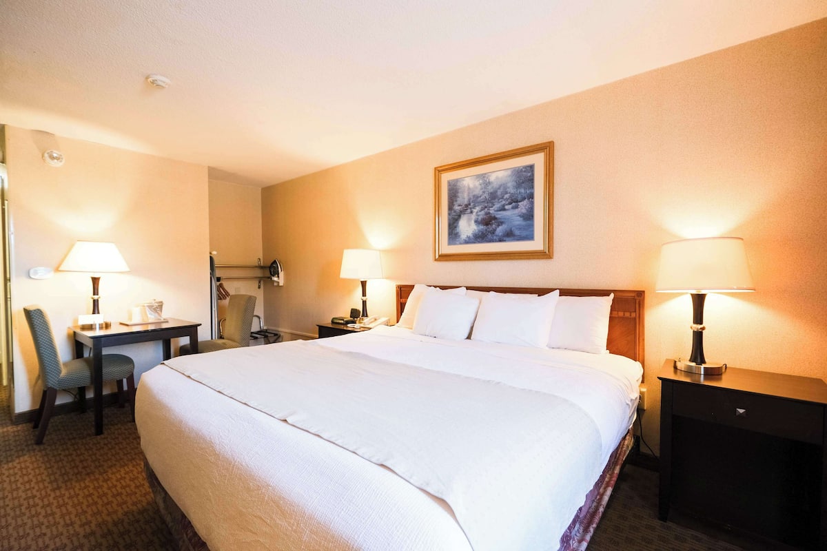 Quarto de hotel com uma cama grande, duas mesas de cabeceira com abajures, uma escrivaninha com cadeira e um quadro na parede.