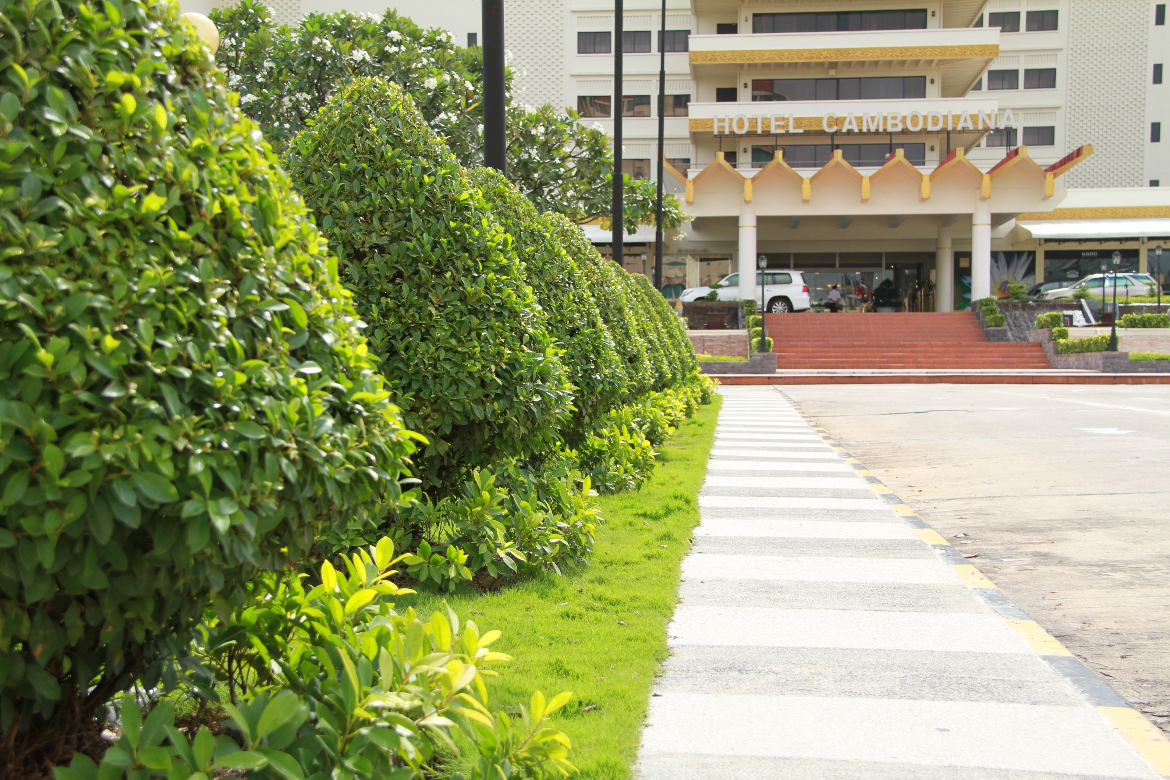 A hotel entrance with a well-maintained hedge, a clear pathway leading to the entrance, and a visible car parking area.