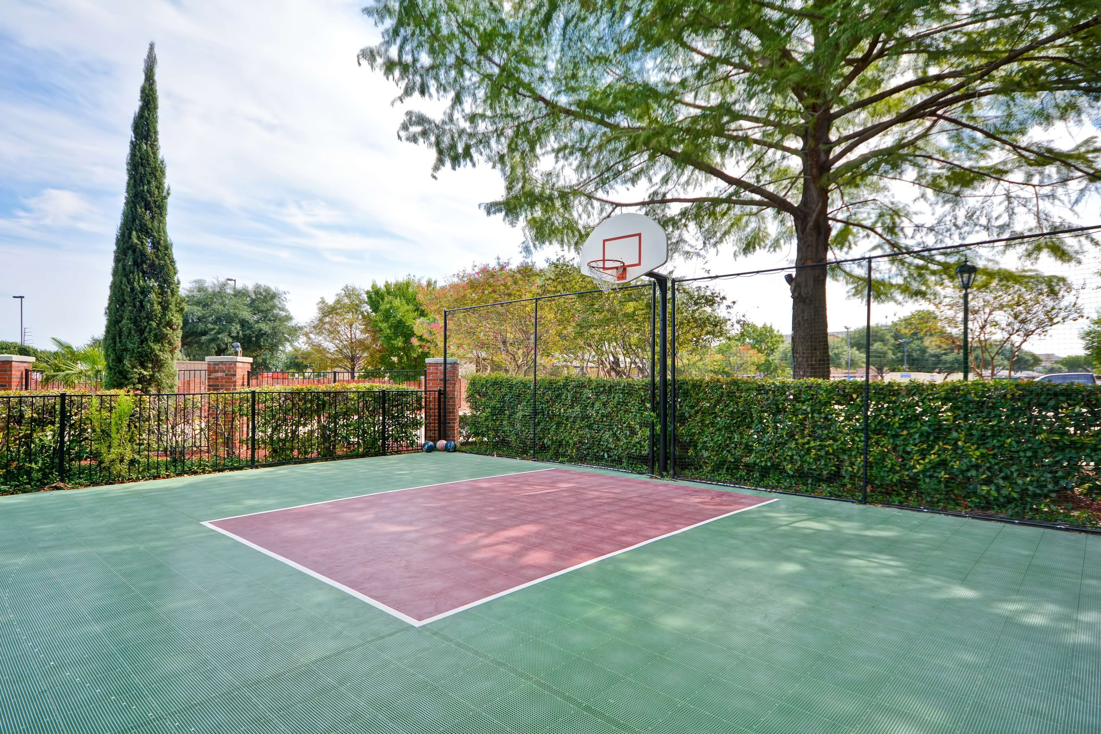 Una cancha de baloncesto al aire libre con superficie verde, rodeada por una cerca y árboles.