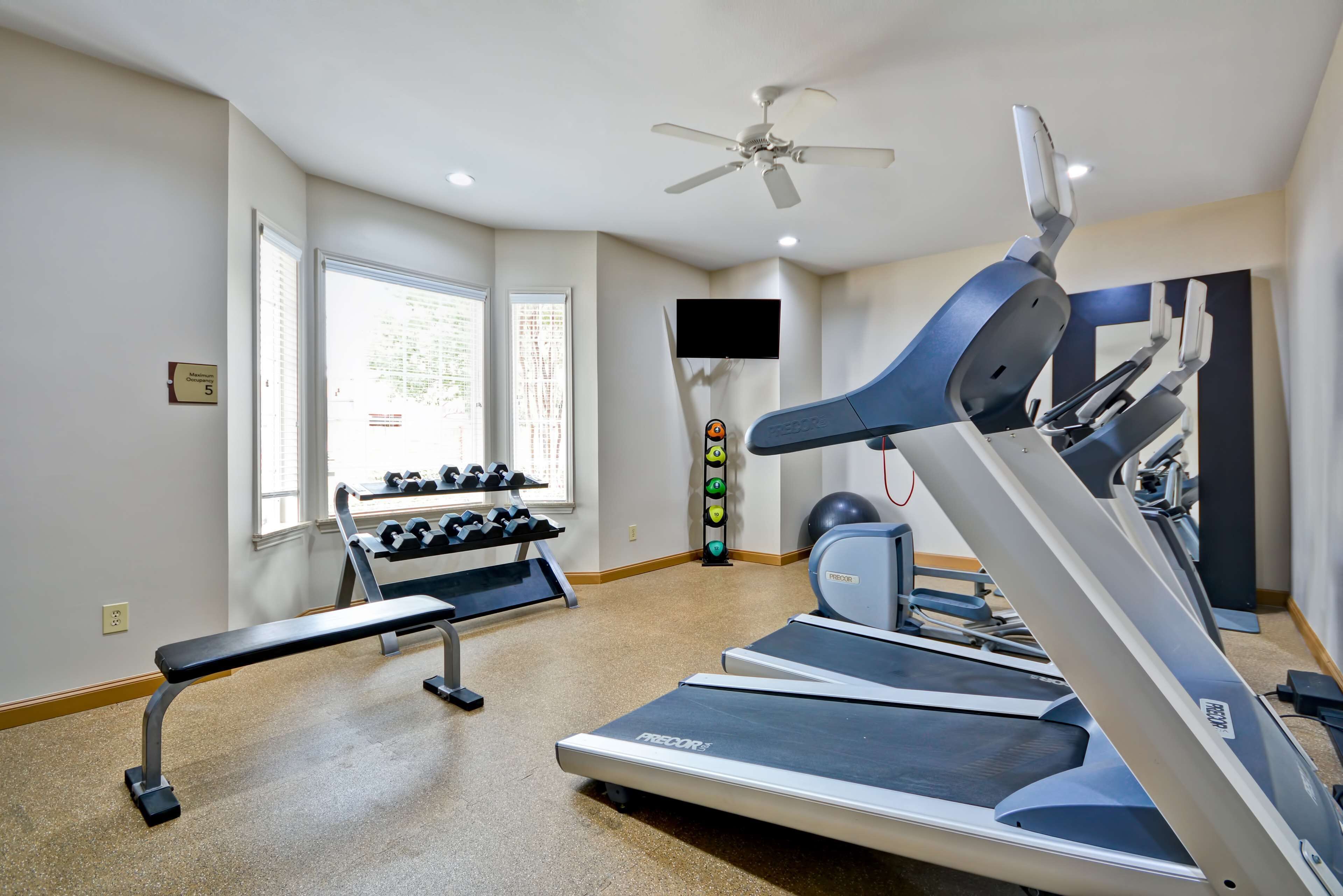 A gym with treadmills, a bench, dumbbells, and a ceiling fan.