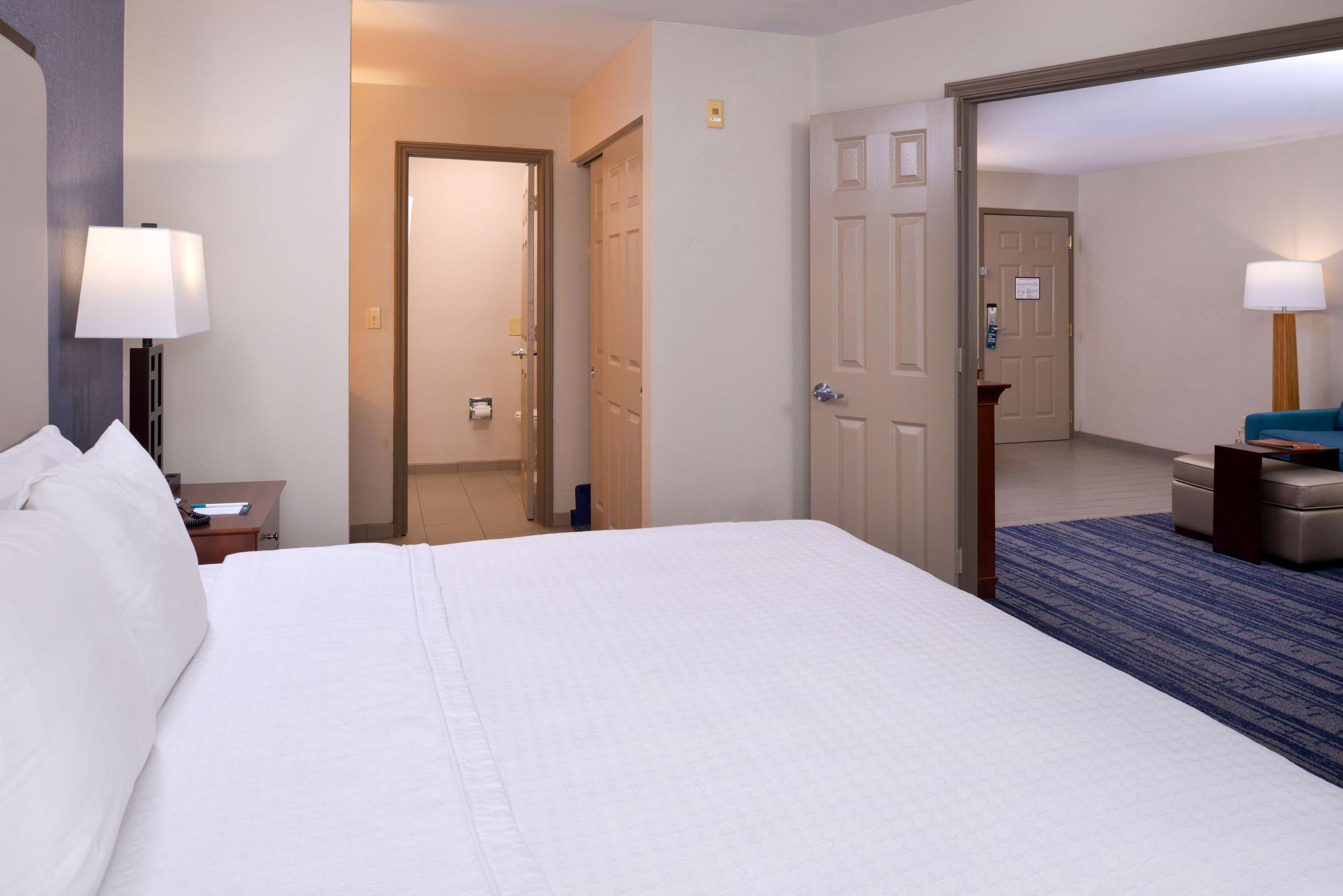 Habitació d'hotel amb un llit gran, una taula de treball amb una làmpada, una porta de bany i una catifa blava.
