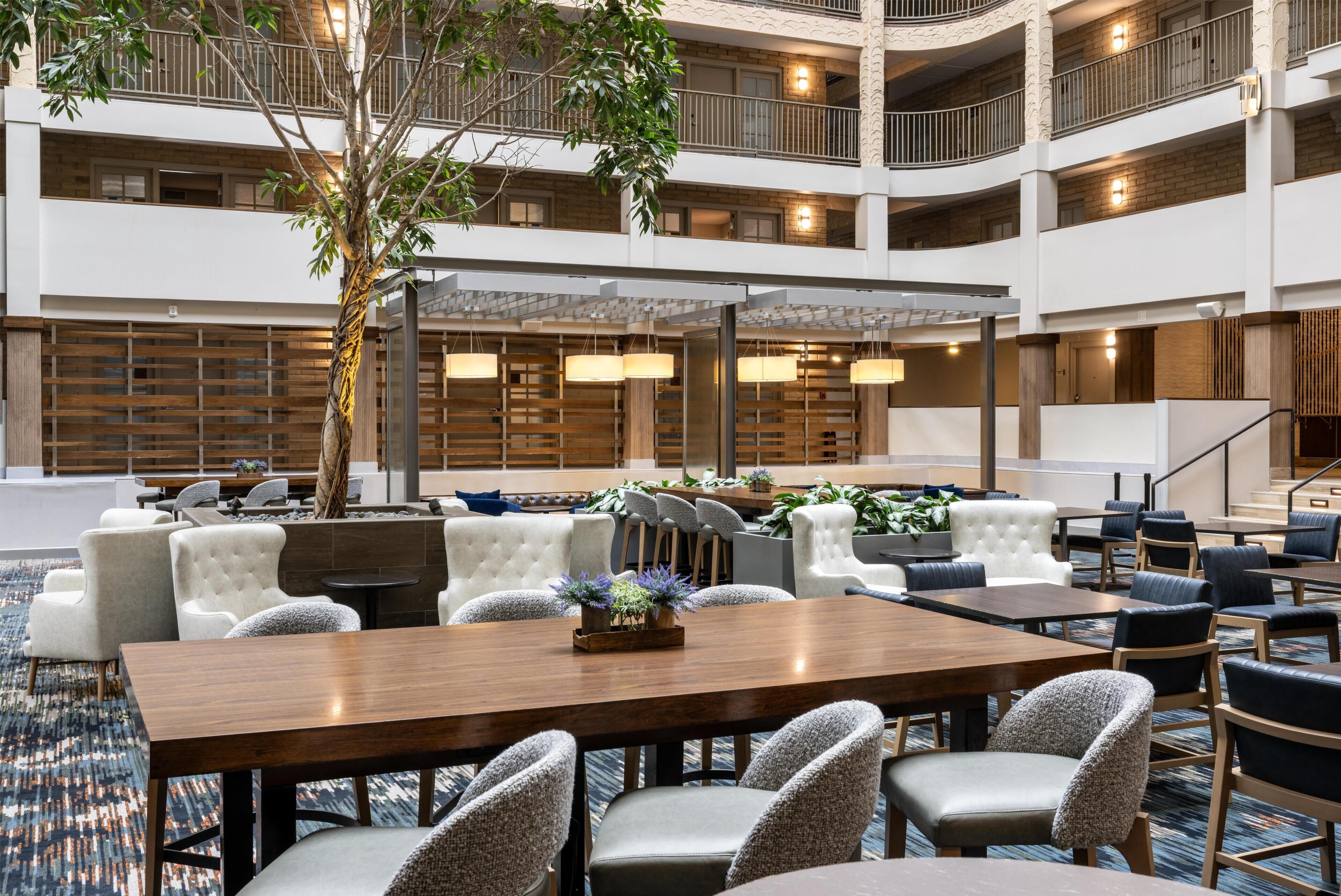 A multi-level hotel lobby with a central seating area, a large tree, and multiple floors visible.