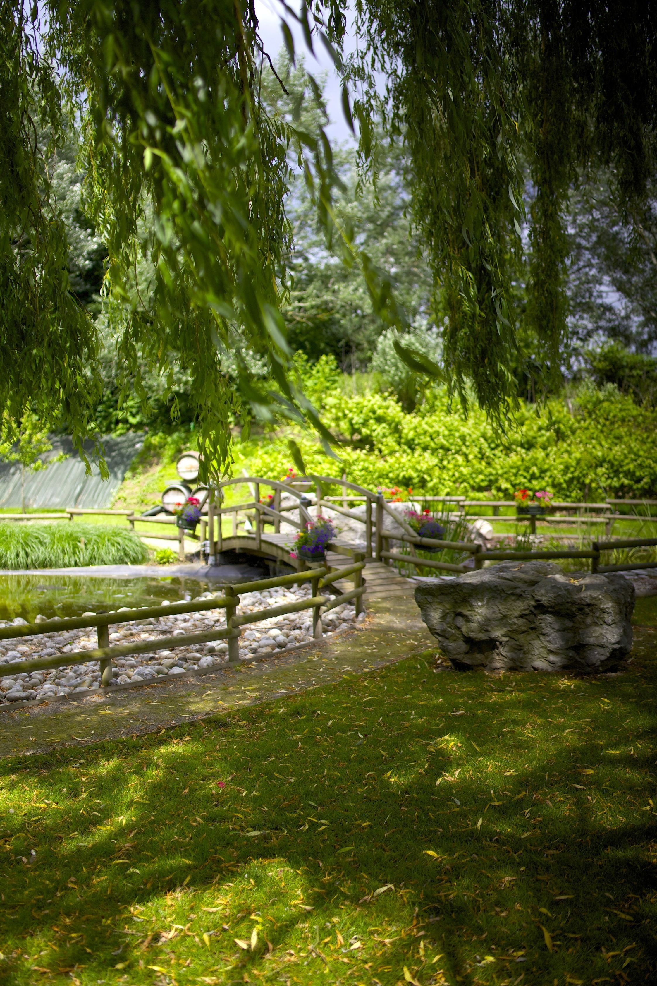 Un jardin paisible avec un pont en bois, un étang et une végétation luxuriante.