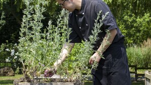 A person tending to plants in a wooden planter. -  Sure Hotel by Best Western Lille Tourcoing (Bondues)