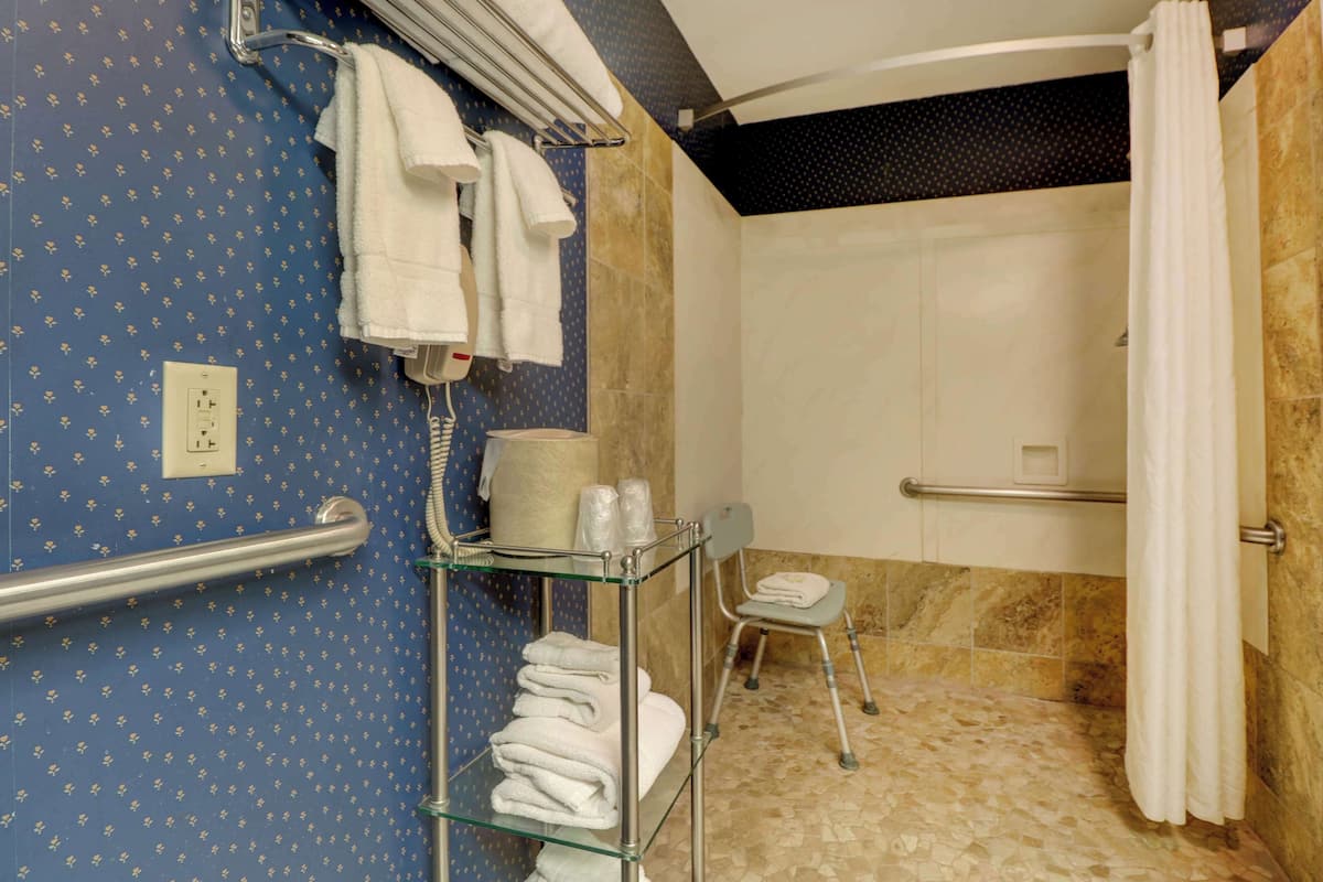 Suite, 1 cama King size | Baño para personas con discapacidad