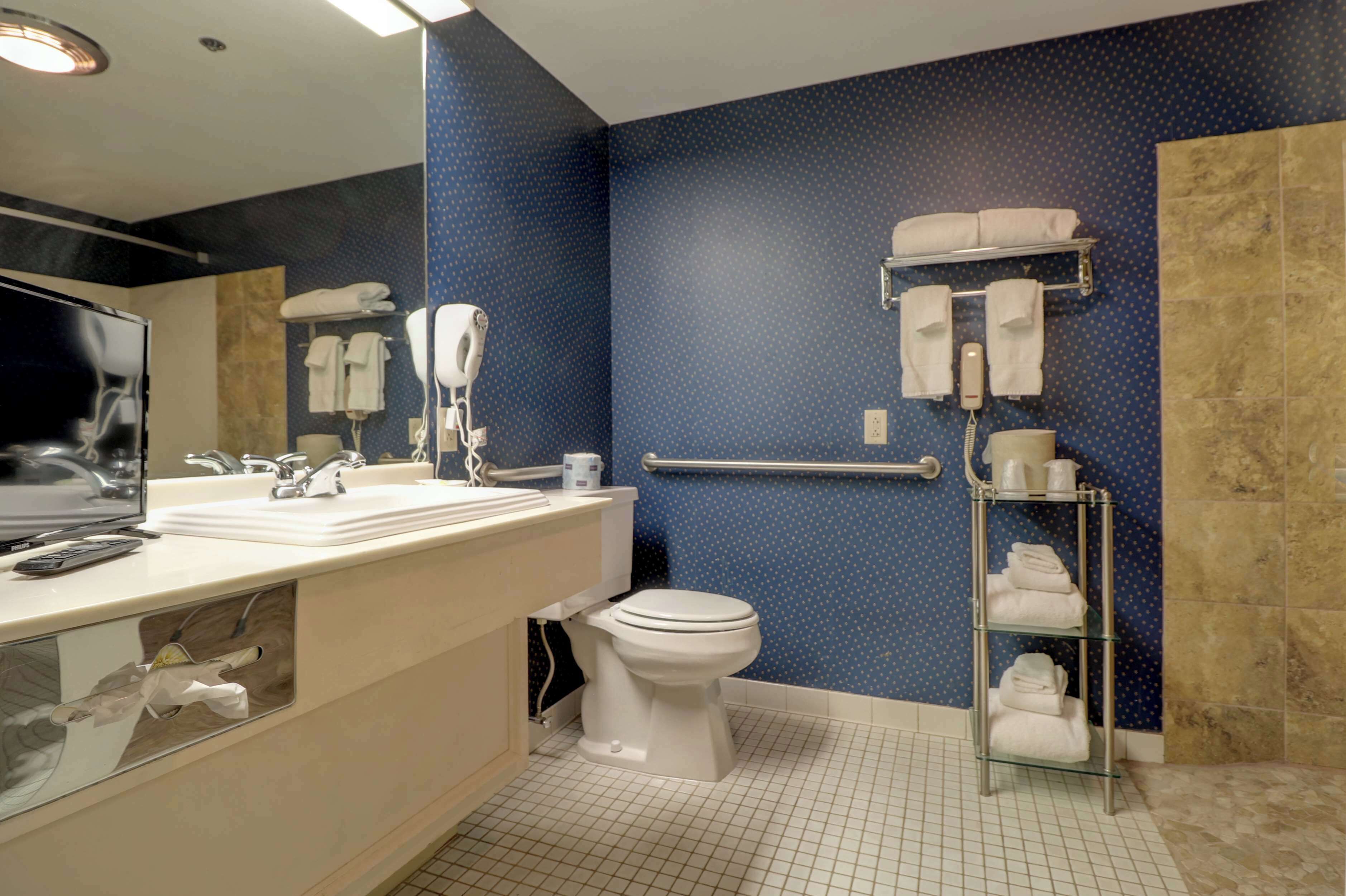 Artículos de tocador ecológicos, secador de pelo, toallas, jabón