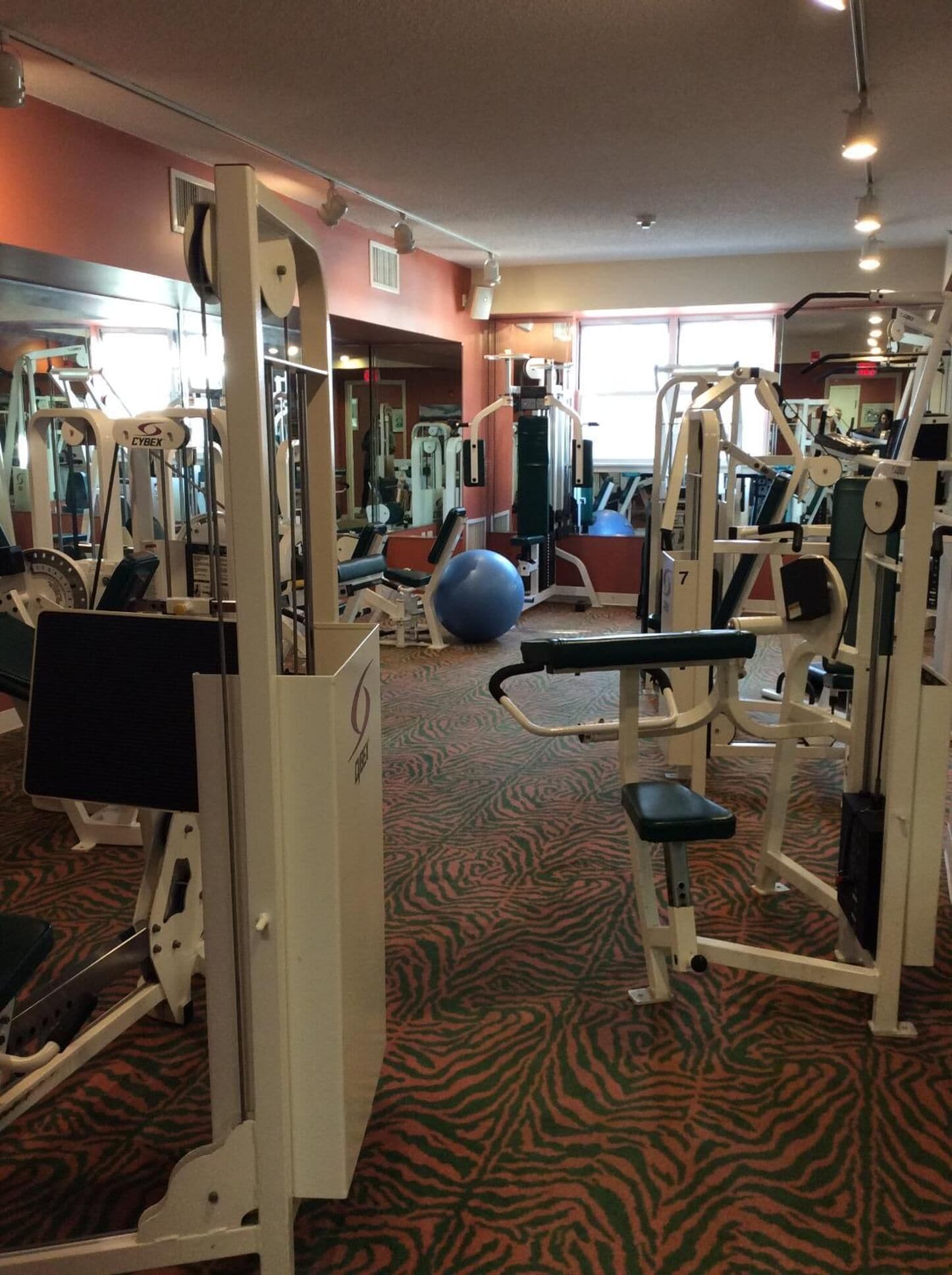 A gym with various exercise machines, a mirrored wall, and a patterned carpet.