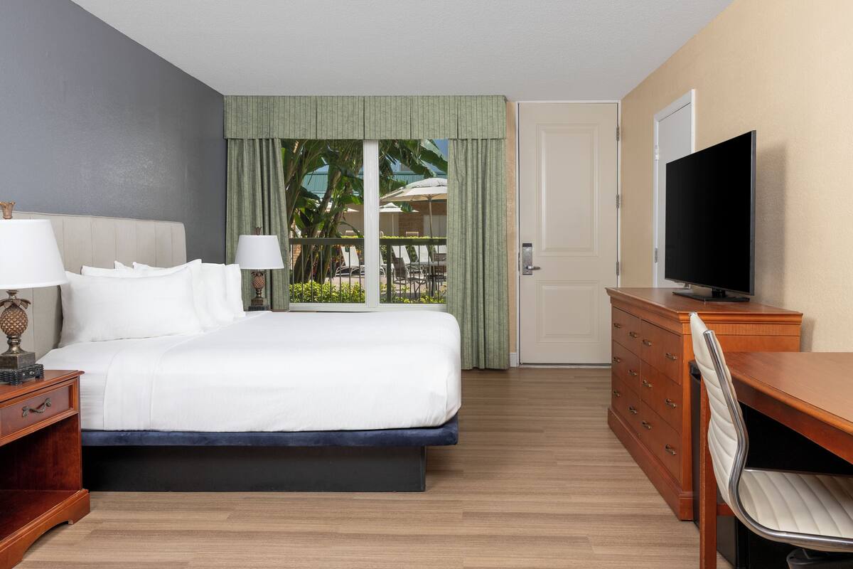 A hotel room with a bed, a desk, a television, and a view of the outdoors.