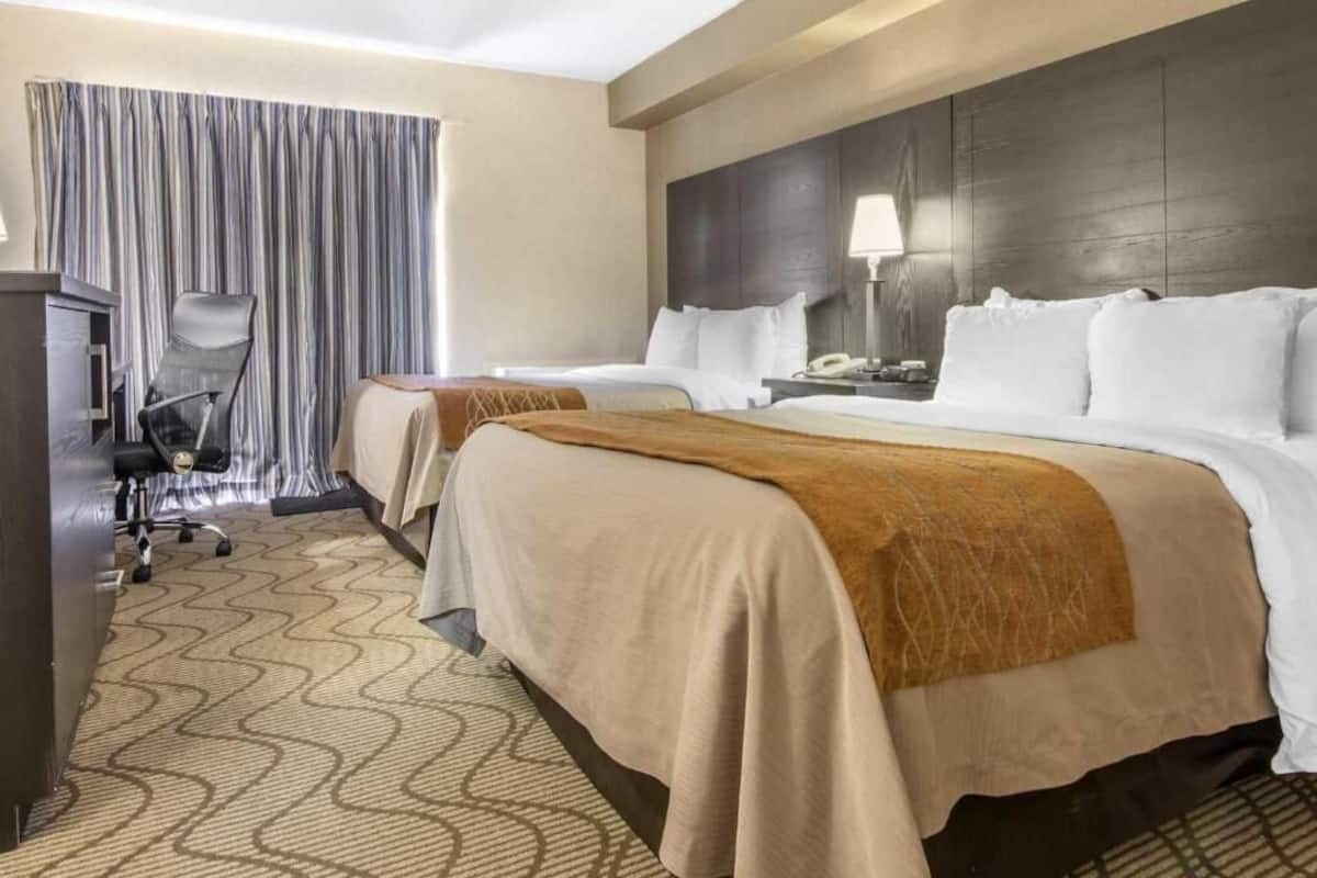 Premium bedding, desk, blackout drapes, iron/ironing board