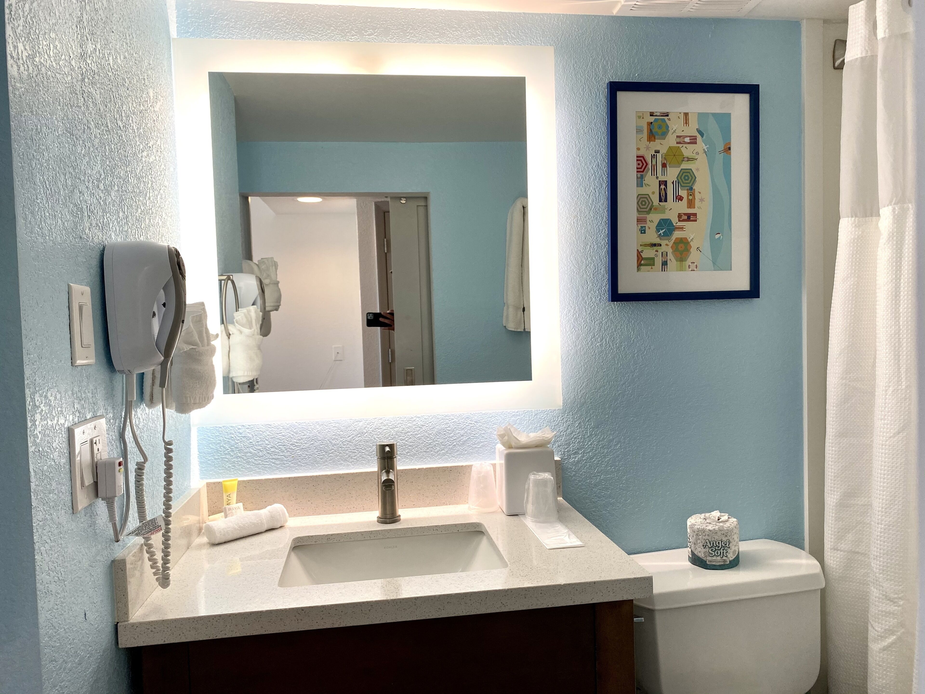 A bathroom with a sink, a hairdryer, a framed picture, and a toilet paper holder.