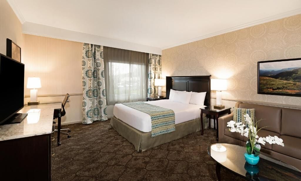 premium bedding, down duvets, pillow-top beds, desk