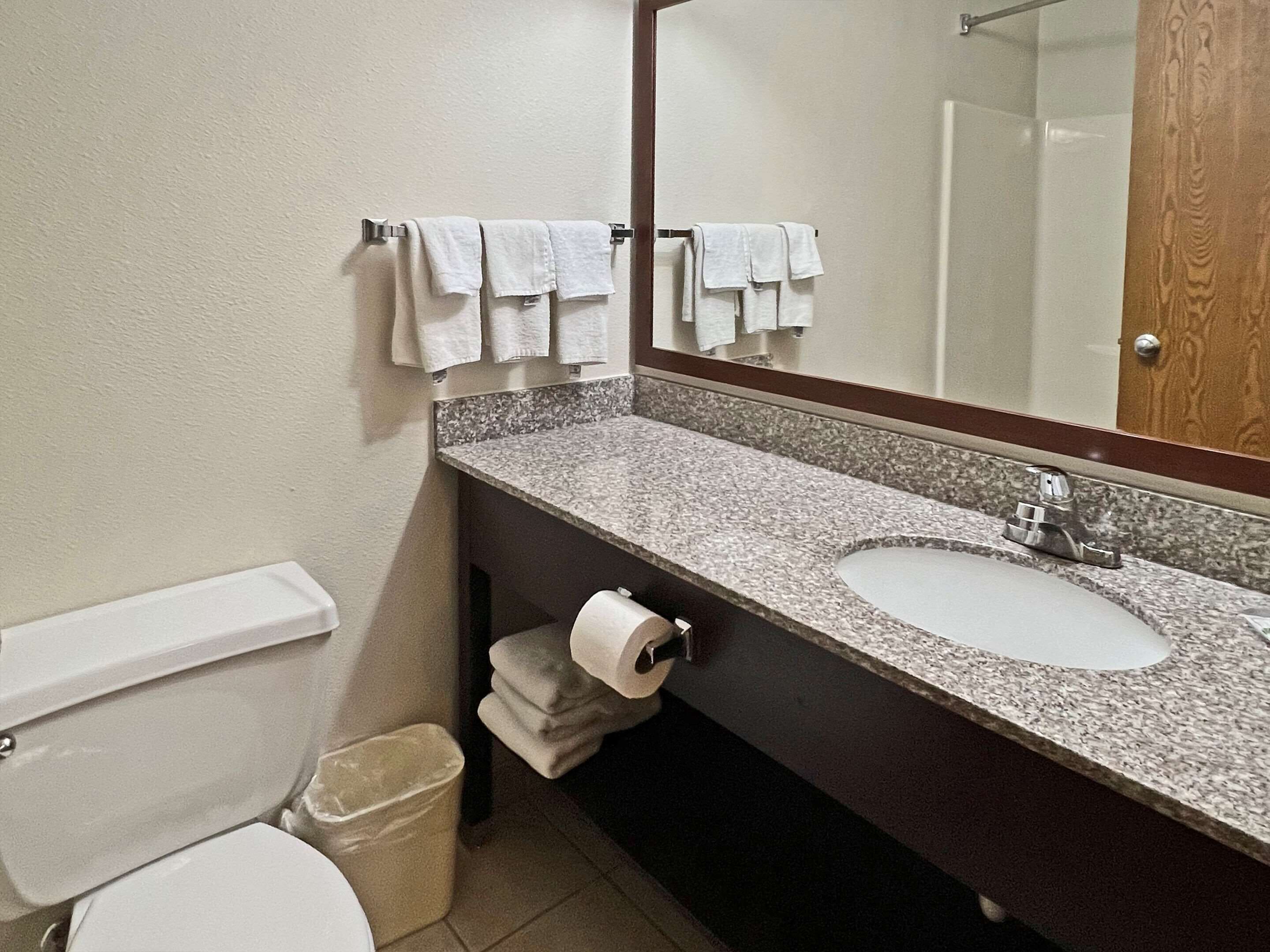 Une salle de bain avec un comptoir en granit, un lavabo, un miroir et des toilettes.