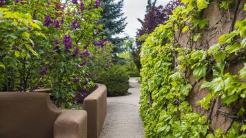 A pathway flanked by lush greenery and a concrete bench.