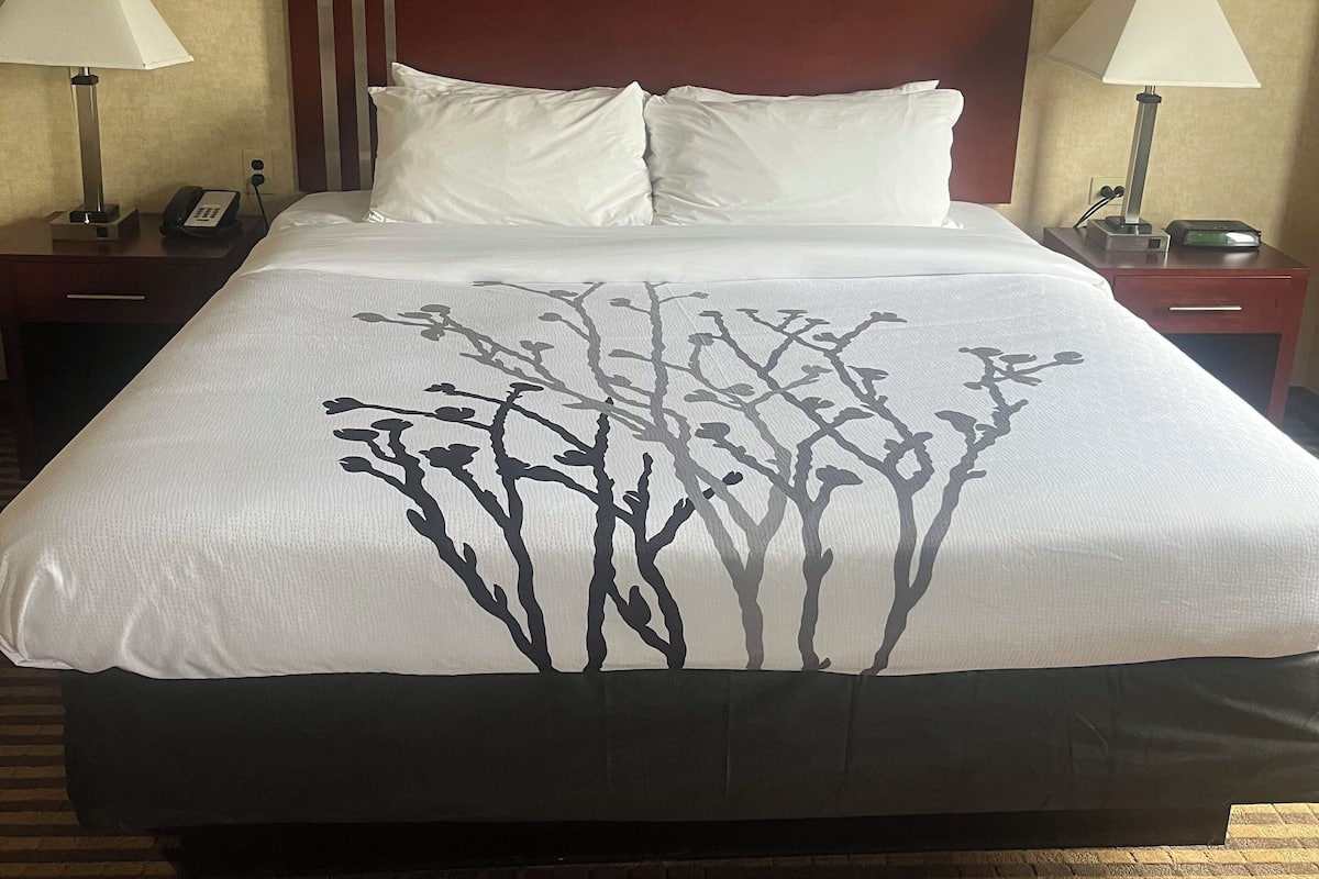 Skrivebord, strykejern/-brett, wi-fi (inkludert) og sengetøy