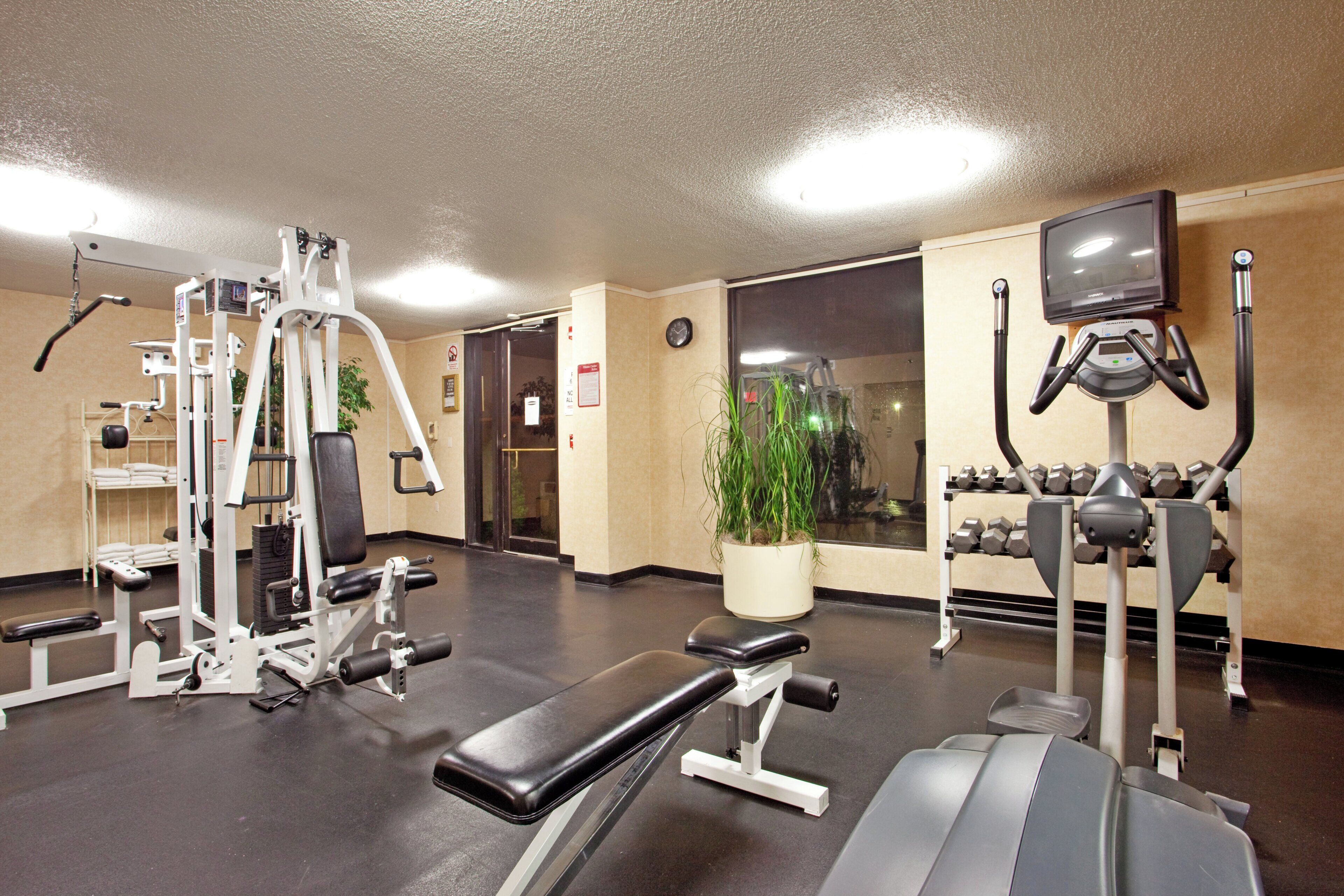 A gym with various exercise equipment, a bench, and a potted plant.