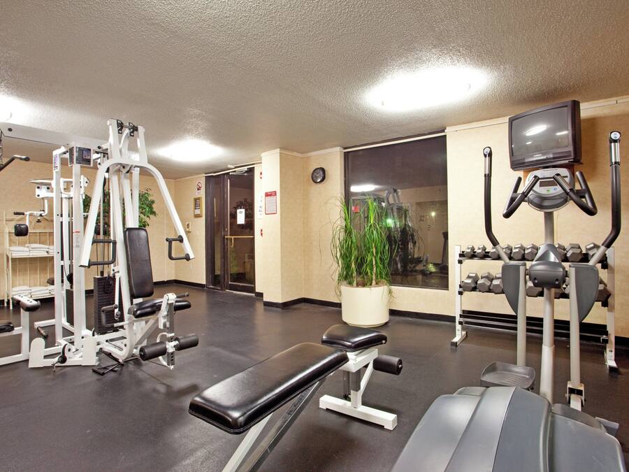 A gym with various exercise equipment, a bench, and a potted plant.
