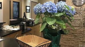 Una encimera de cocina con una cesta de mimbre, un florero con flores azules y una pared de piedra con un plato decorativo.