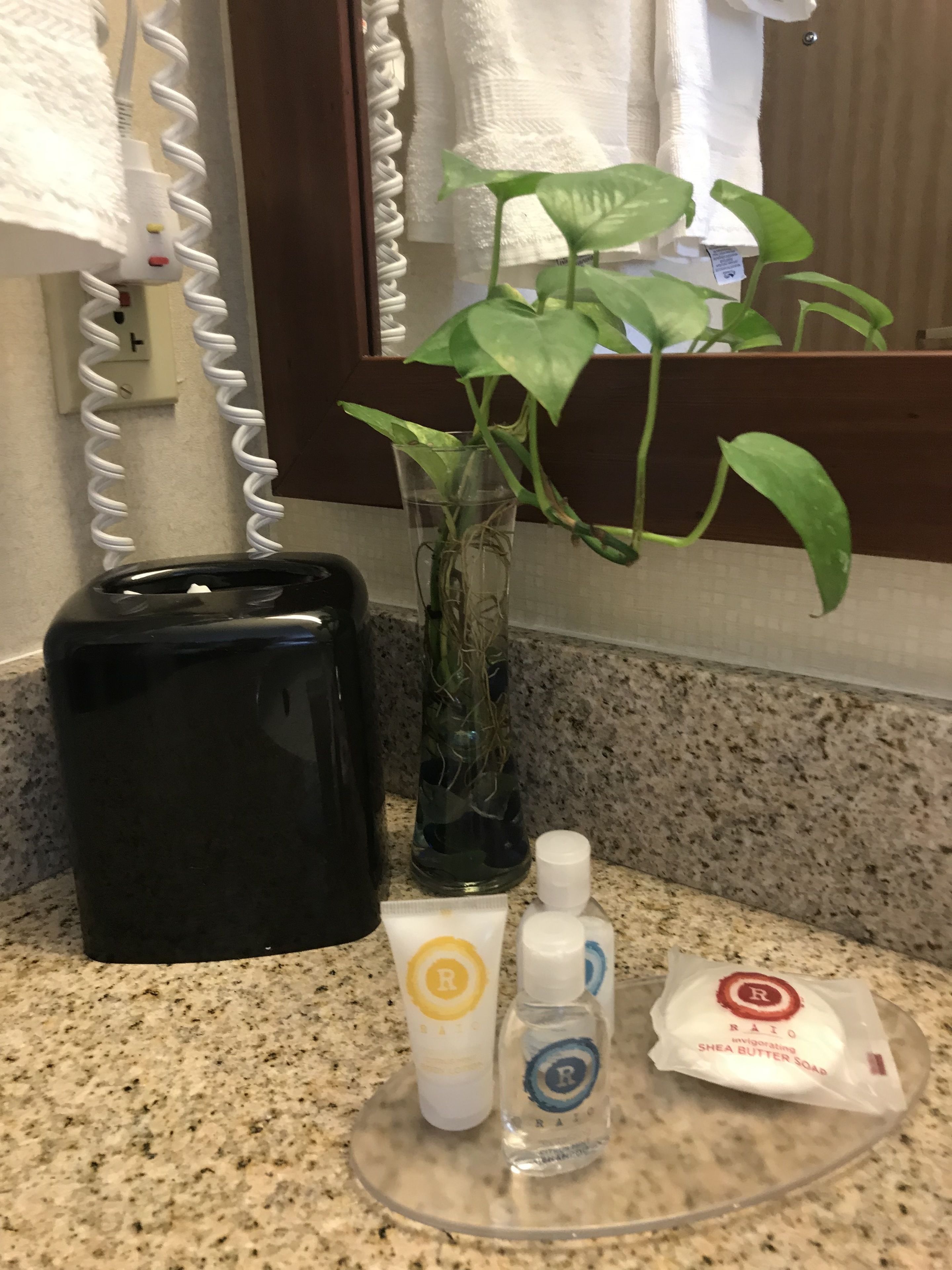 standard room, 2 queen beds, non smoking | bathroom | combined shower/bathtub, eco-friendly toiletries, hair dryer, towels