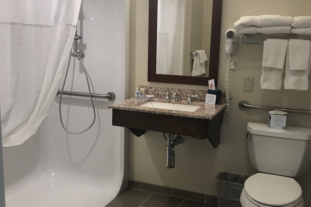 standard room, 1 king bed, accessible, non smoking | bathroom | combined shower/bathtub, eco-friendly toiletries, hair dryer, towels