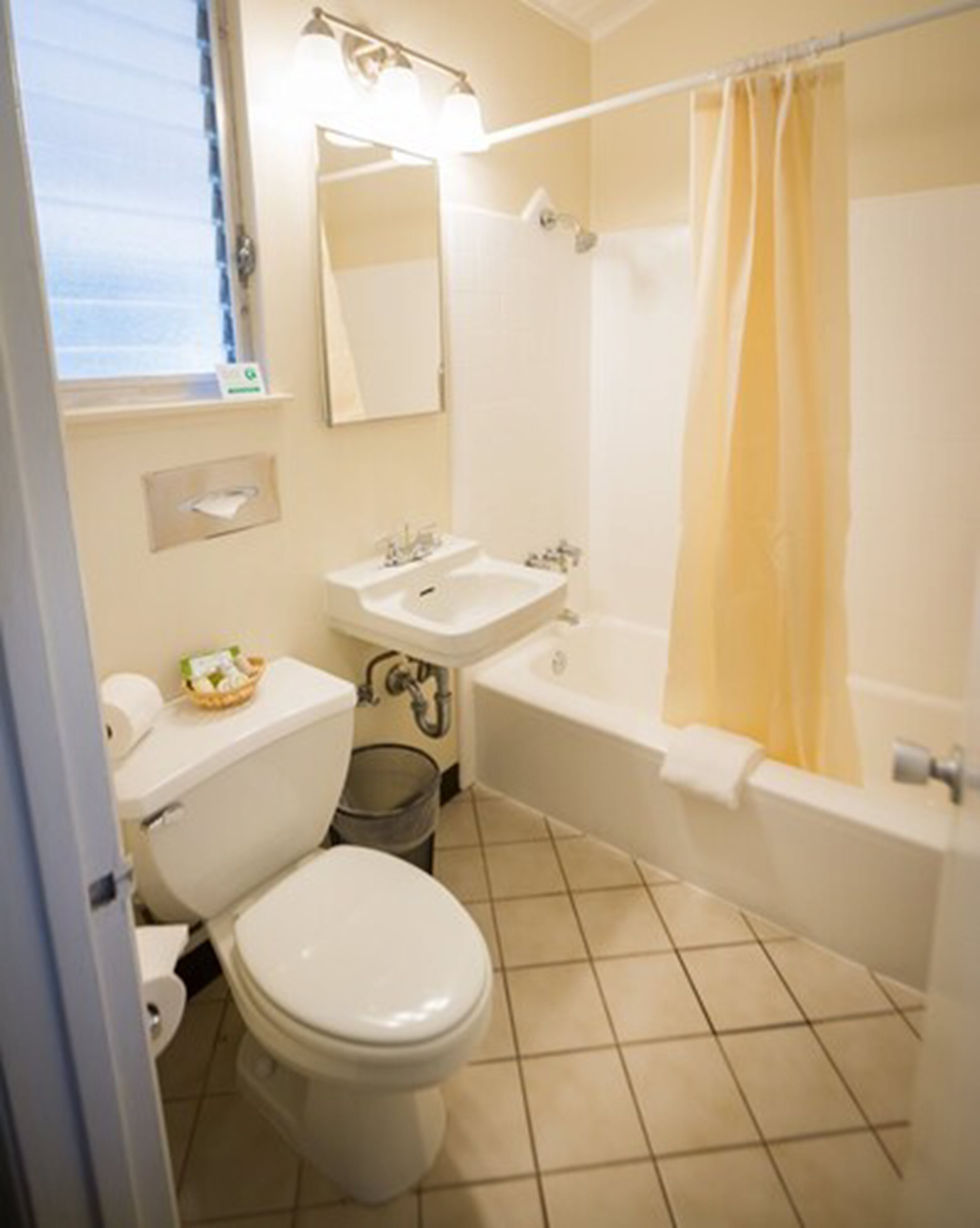 combined shower/bathtub, free toiletries, hair dryer, towels