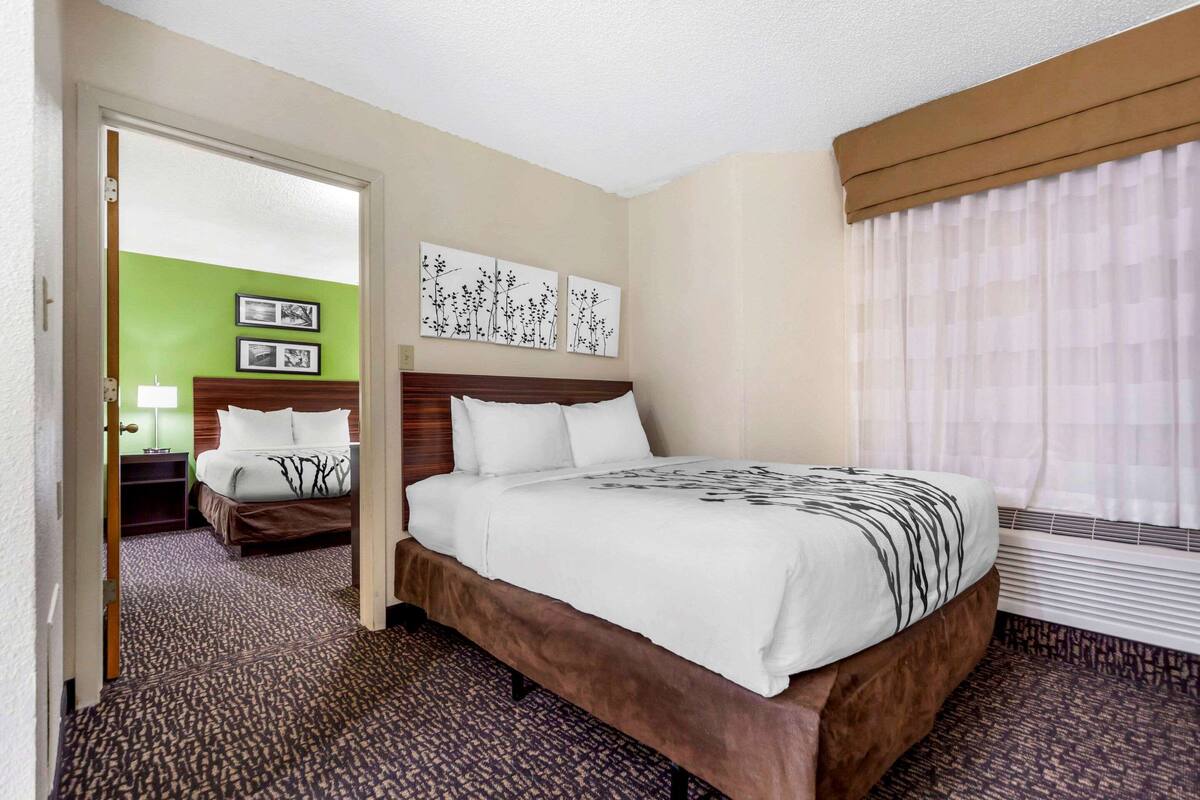 A hotel room with a large bed, a wooden headboard, a green accent wall, and artwork above the bed.