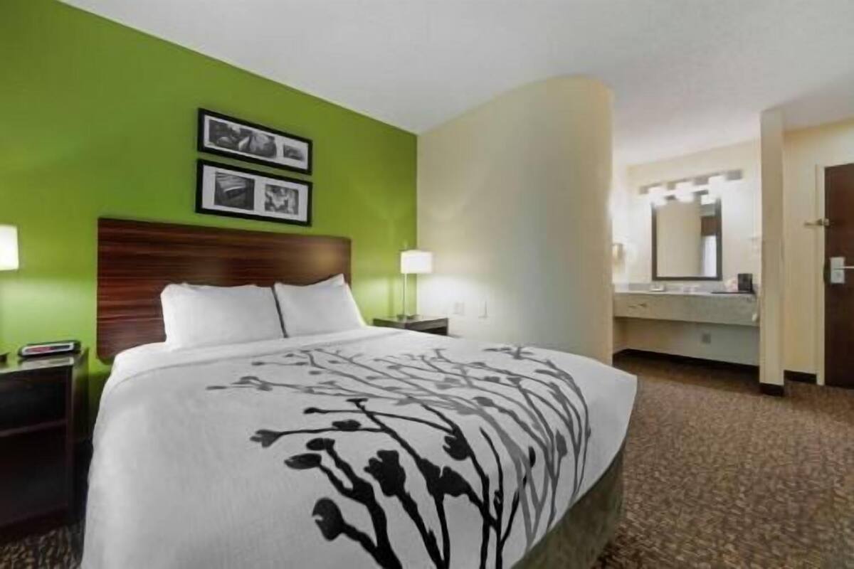 A hotel room with a bed, a nightstand, a lamp, a mirror, and a green wall.