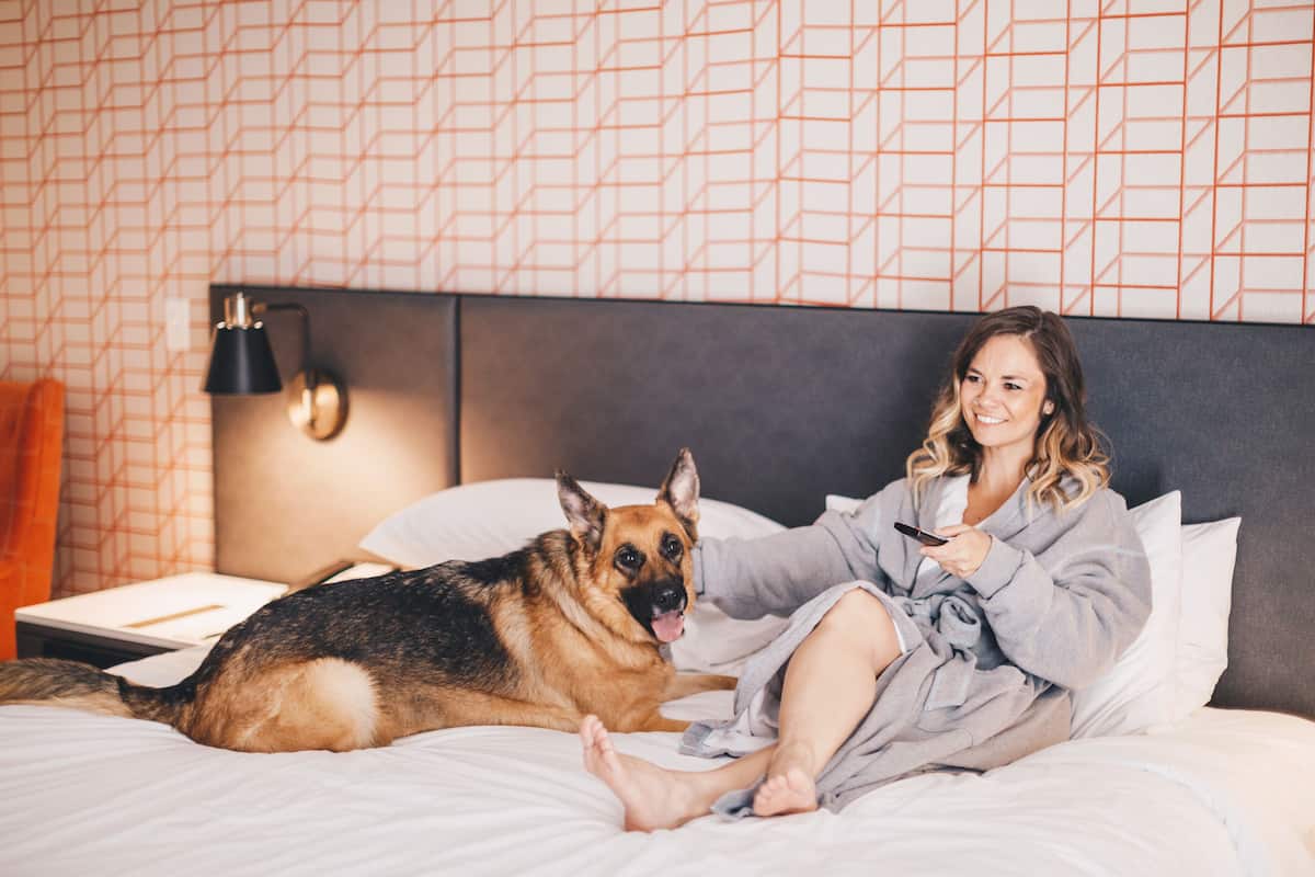 Room, 1 King Bed, Corner | Egyptian cotton sheets, premium bedding, down comforters, pillowtop beds