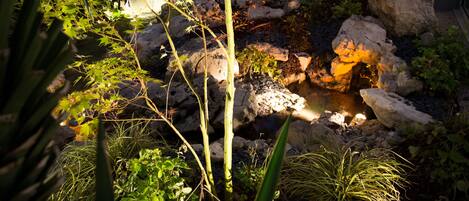 A garden with a small stream, rocks, and various plants.