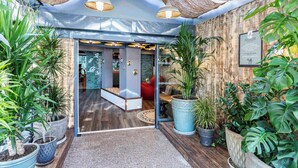 Un interior moderno con pared de madera, plantas grandes en macetas y una zona de estar con sofá rojo.