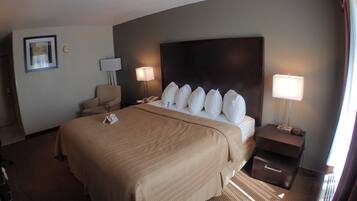 Standard Room, 1 King Bed, Non Smoking | Desk, blackout drapes, iron/ironing board, free cribs/infant beds