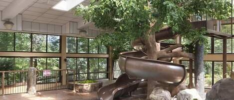 An indoor pool area with a slide, large windows, and a tree structure.