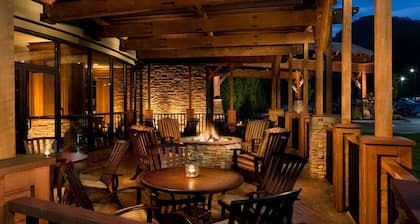 The Park Vista - a DoubleTree by Hilton Hotel - Gatlinburg