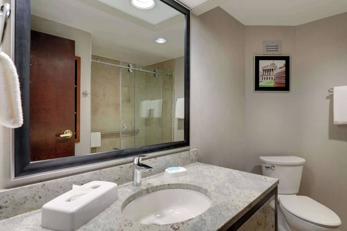 combined shower/bathtub, eco-friendly toiletries, hair dryer, towels