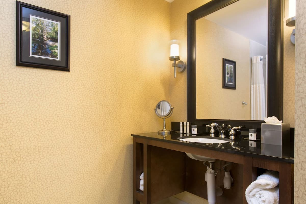 BaƱo | Amenidades de baƱo gratuitas, secadora de cabello, toallas