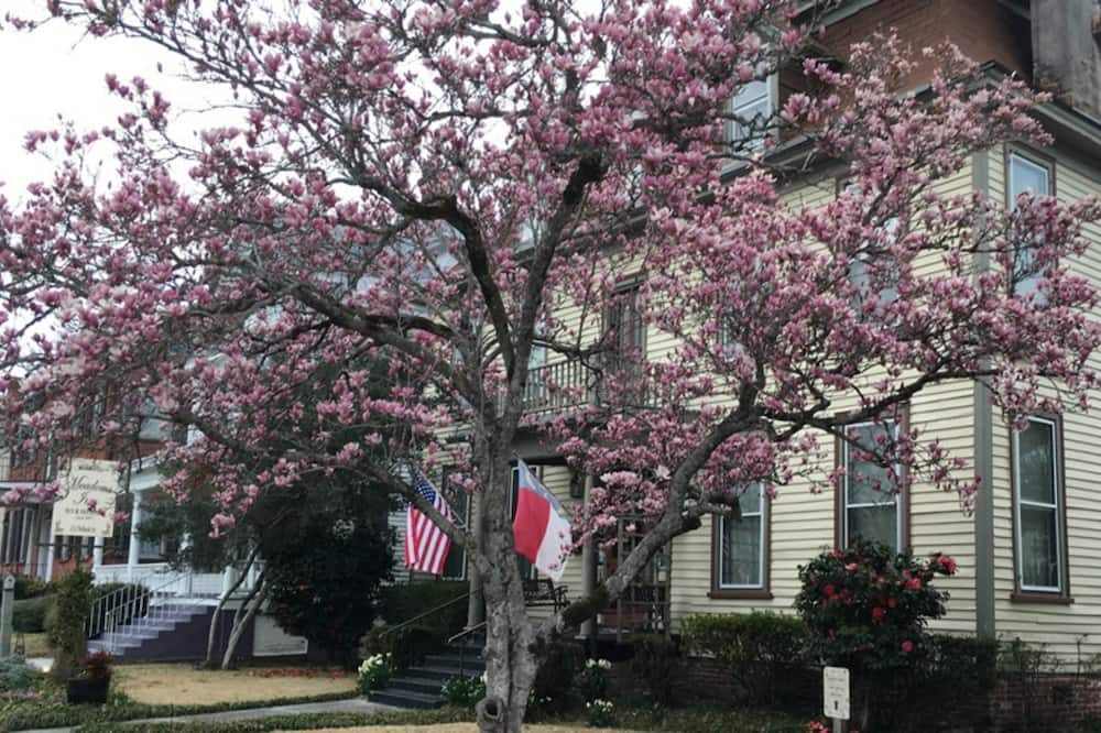 Meadows Inn Bed & Breakfast