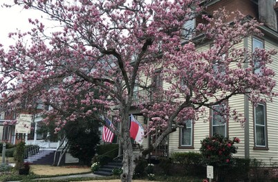 Meadows Inn Bed & Breakfast
