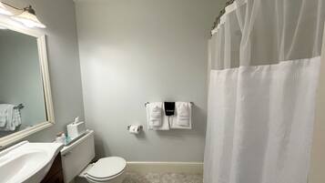 Une salle de bain équipée de toilettes, d’un lavabo, d’un miroir et d’un rideau de douche.