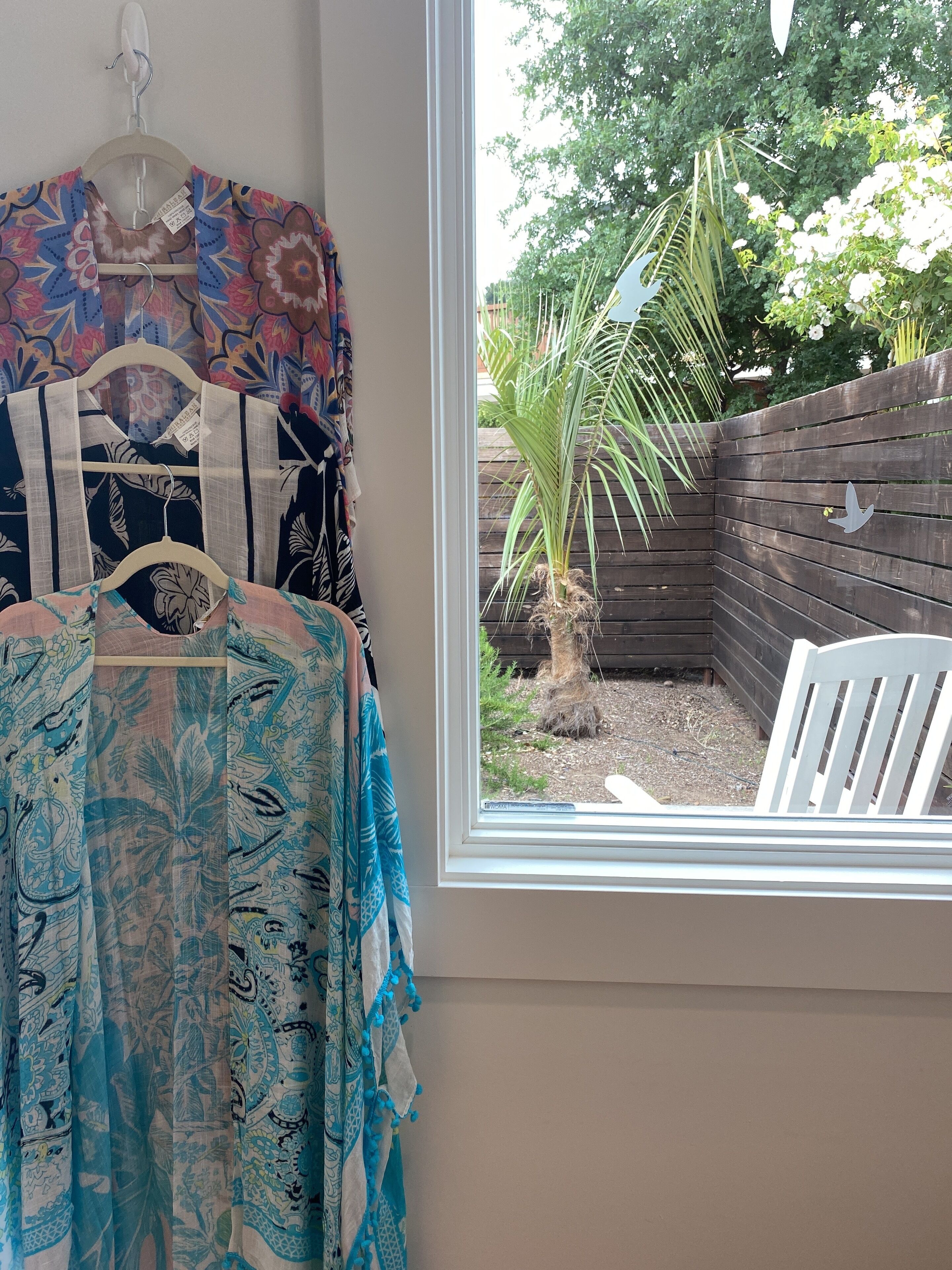 A window with a view of a wooden fence and a small palm tree.