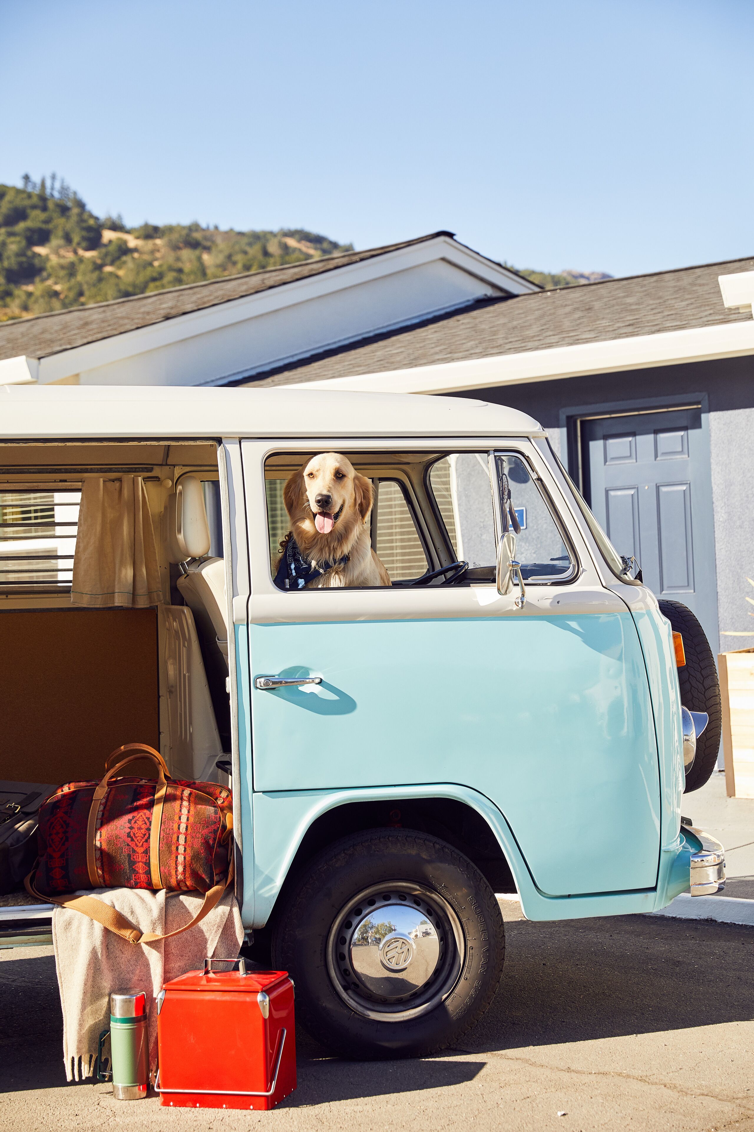 Un vieux camion bleu clair est garé devant une maison, et un chien est assis sur le siège du conducteur.