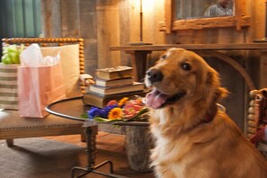 Pet-friendly - Three Chimneys Inn (Durham)