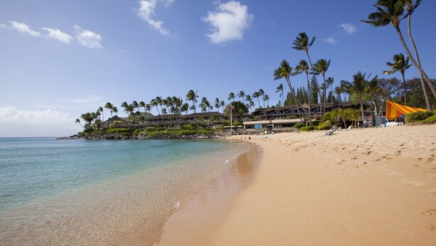 A beach with clear turquoise water, a sandy shore, and a resort with multiple buildings and palm trees. - Napili Kai Beach Resort (Lahaina)