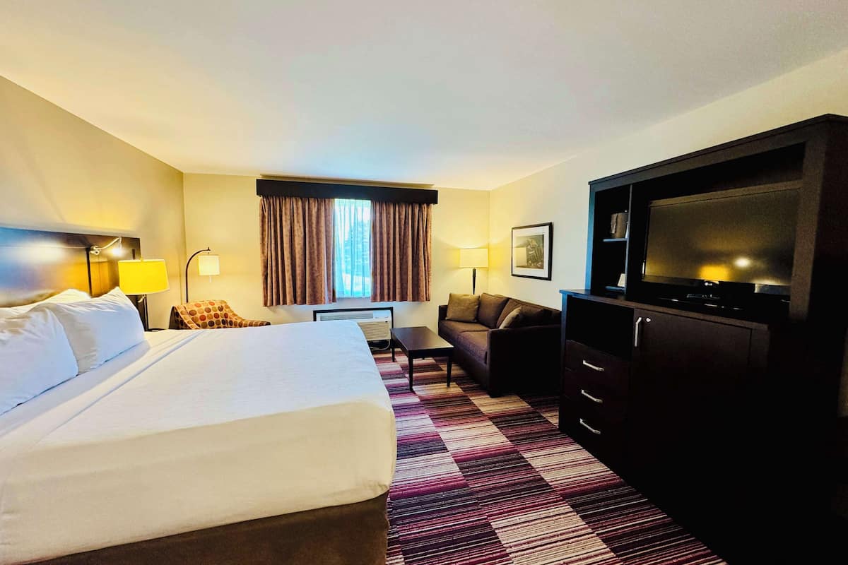 standard room, 1 king bed, non smoking, refrigerator & microwave (with sofabed) | premium bedding, down duvets, pillow-top beds, in-room safe