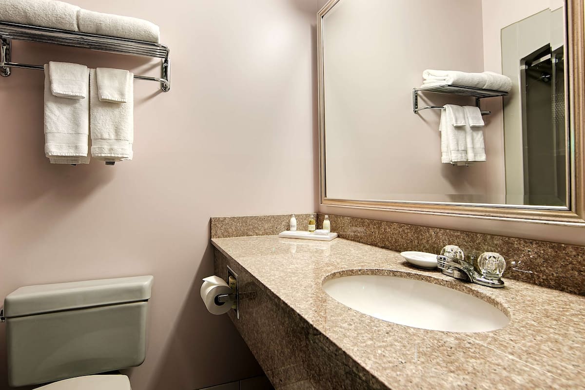 combined shower/bathtub, eco-friendly toiletries, hair dryer, towels