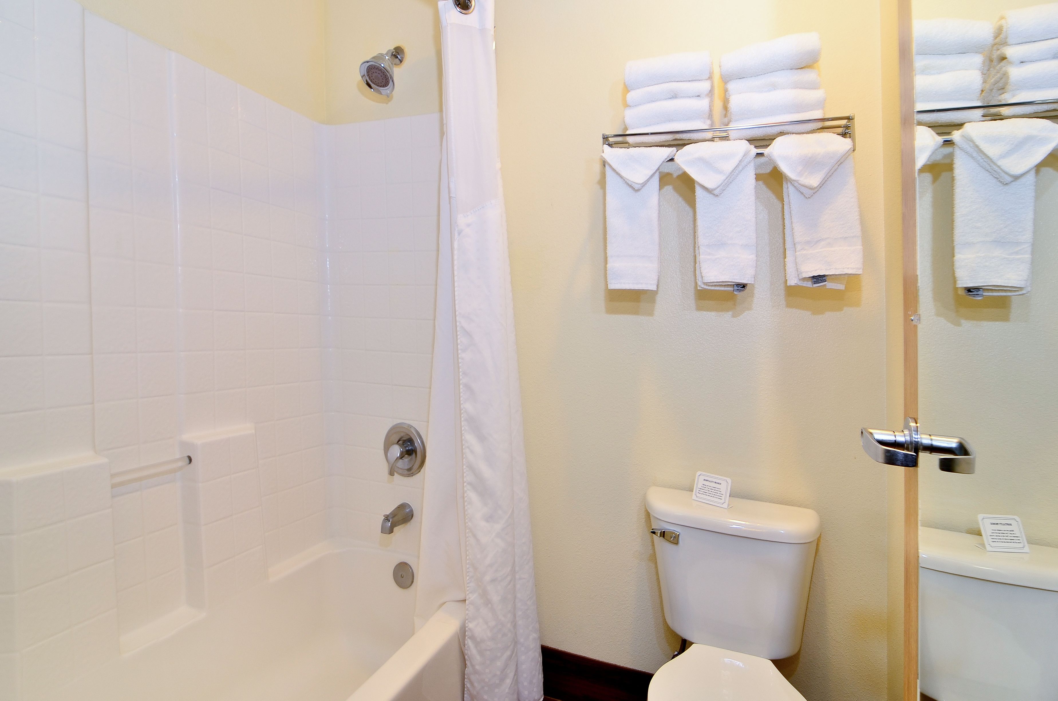 combined shower/bathtub, free toiletries, hair dryer, towels