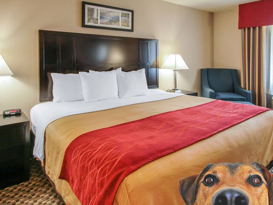 A hotel room with a large bed, two bedside tables, a chair, and a window with curtains.