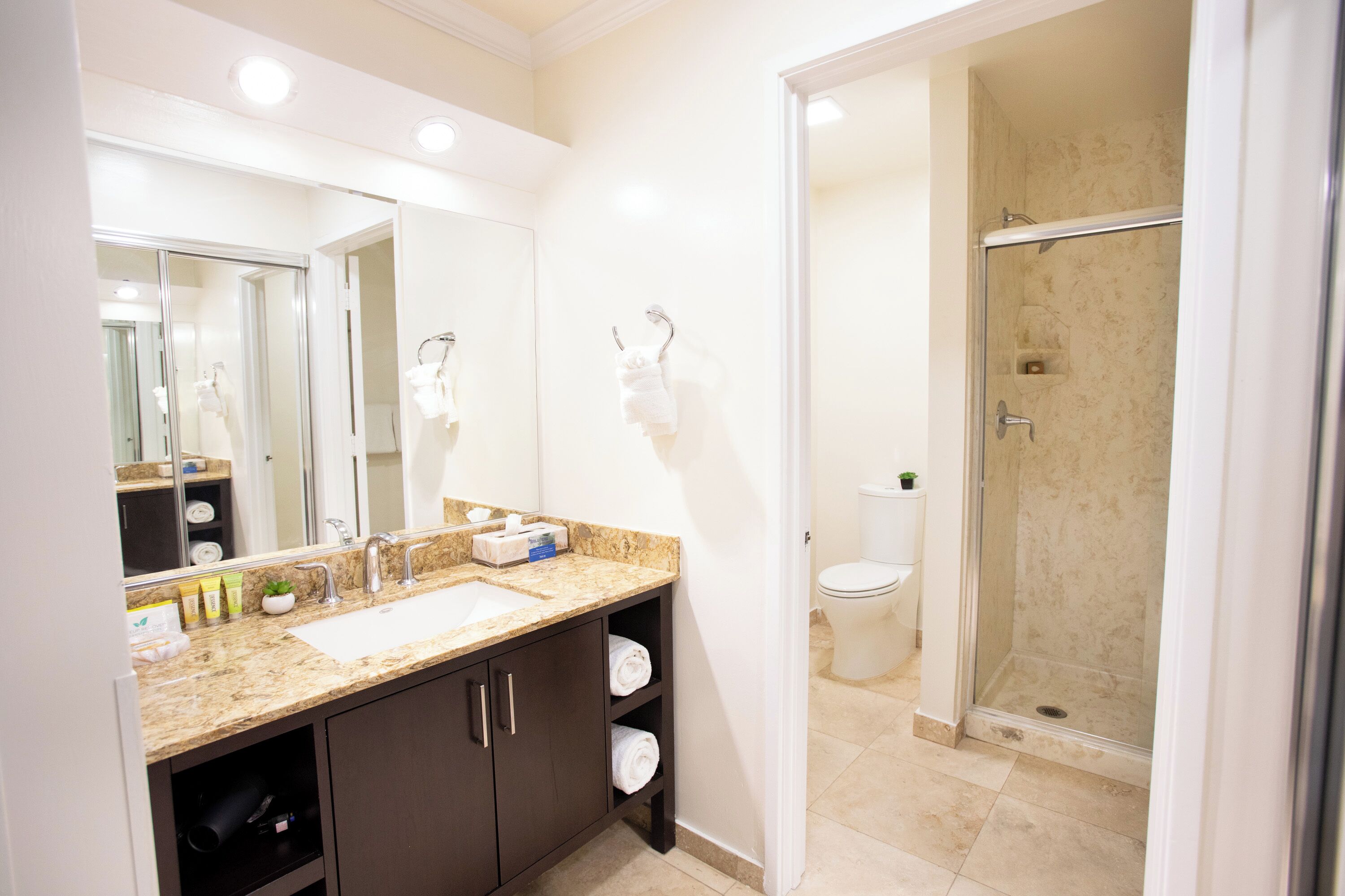 deluxe room, 2 queen beds, non smoking, fireplace | bathroom | free toiletries, hair dryer, towels