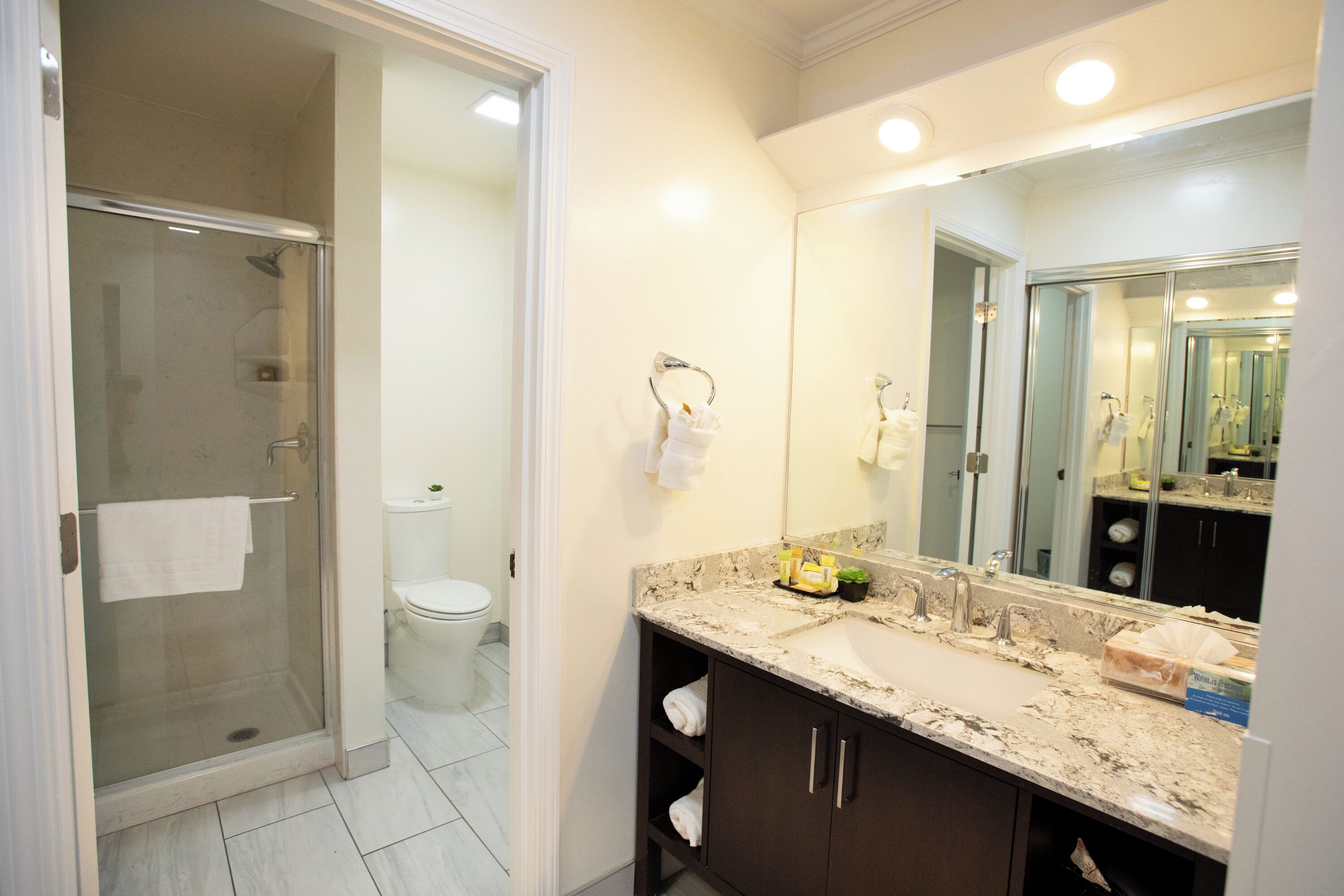 free toiletries, hair dryer, towels