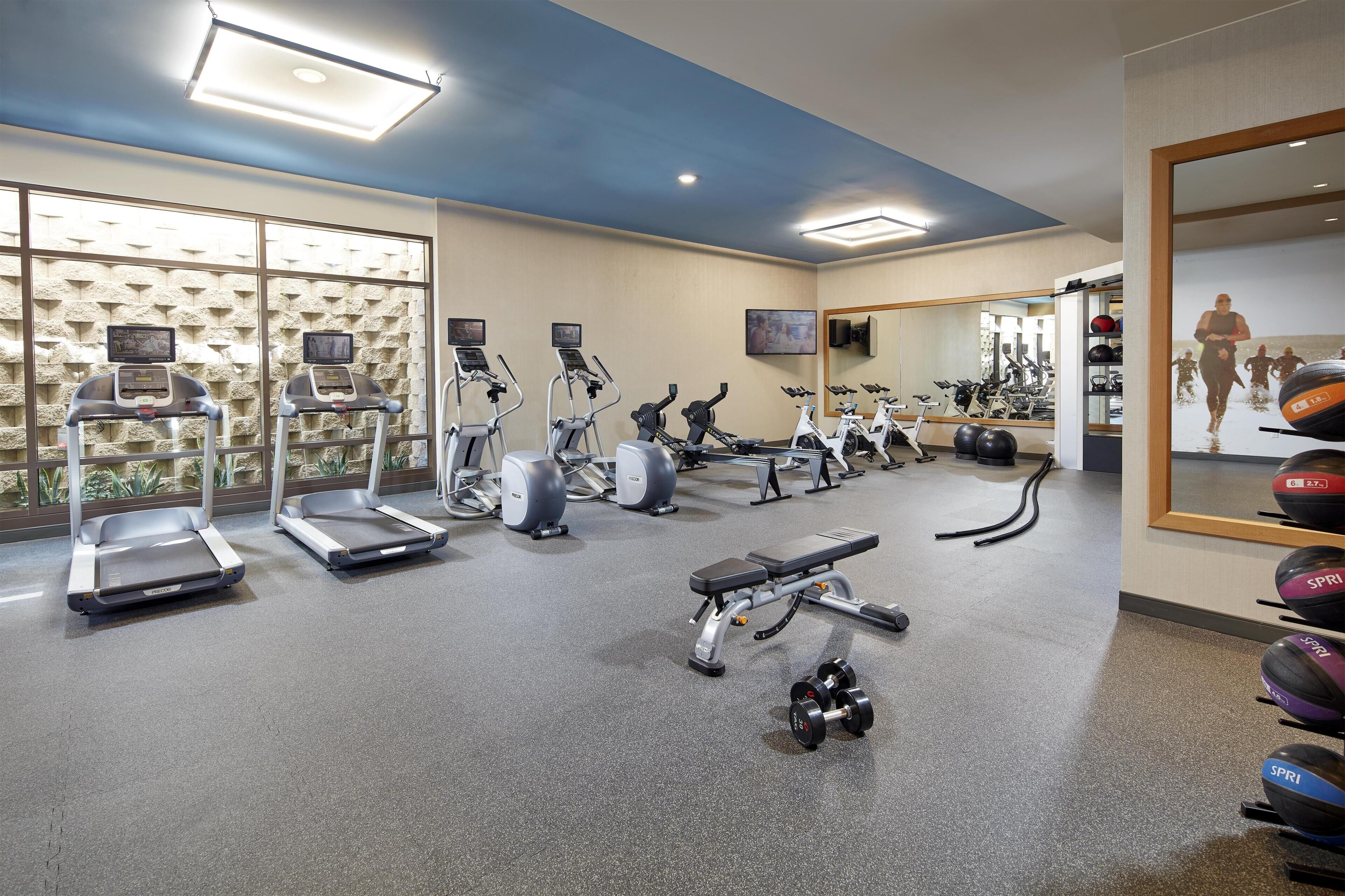 A gym with treadmills, elliptical machines, a bench, and dumbbells.